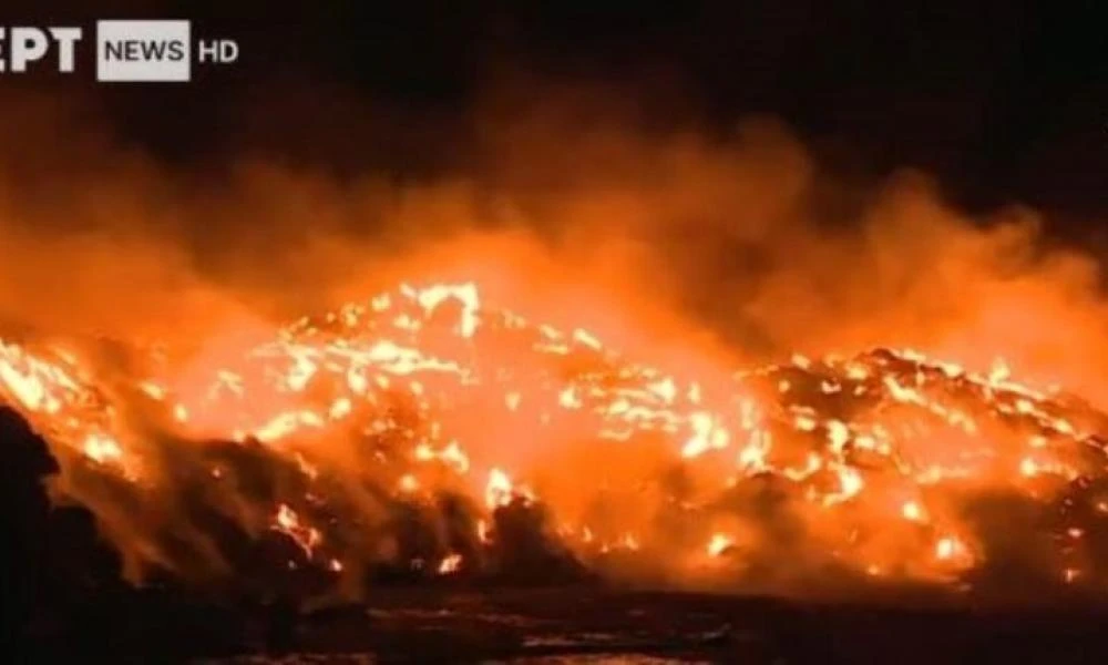 Ξέσπασε φωτιά σε εταιρία ανακύκλωσης στη Σίνδο της Θεσσαλονίκης (Βίντεο)